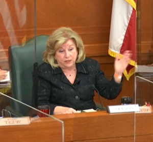 Sen. Jane Nelson addresses the Senate Finance Committee, Feb. 8, 2021